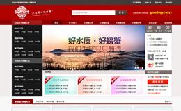 зꖳκlзپW(wng)O(sh)Ӌ(j)